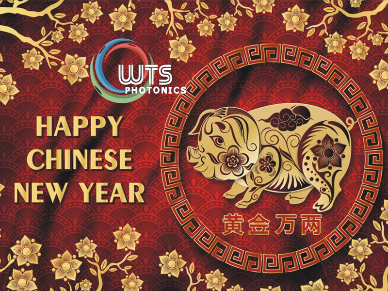 felice anno nuovo 2019 maiale cinese